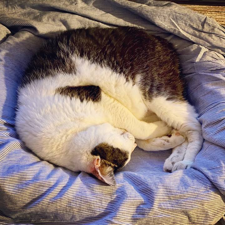 2bf943f5 1064 4b1c a46b 4d30ea484aa2 1595859594458