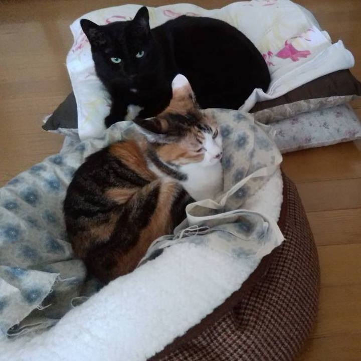 2bf948d9 c20d 4fc7 a91b fd1c407a968b 1671180032142