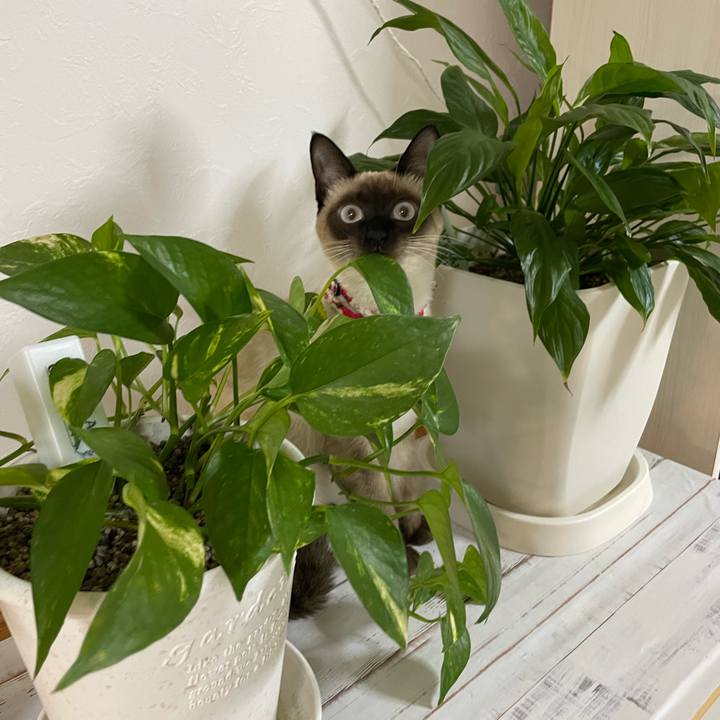 2bf97993 cfe9 44d0 822e 4c0e784917fe 1705087179861