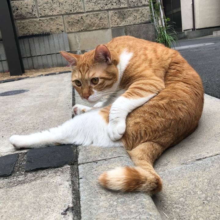 2bf97b2b d971 488e 8b3d 2f9a9abfed49 1560605083572