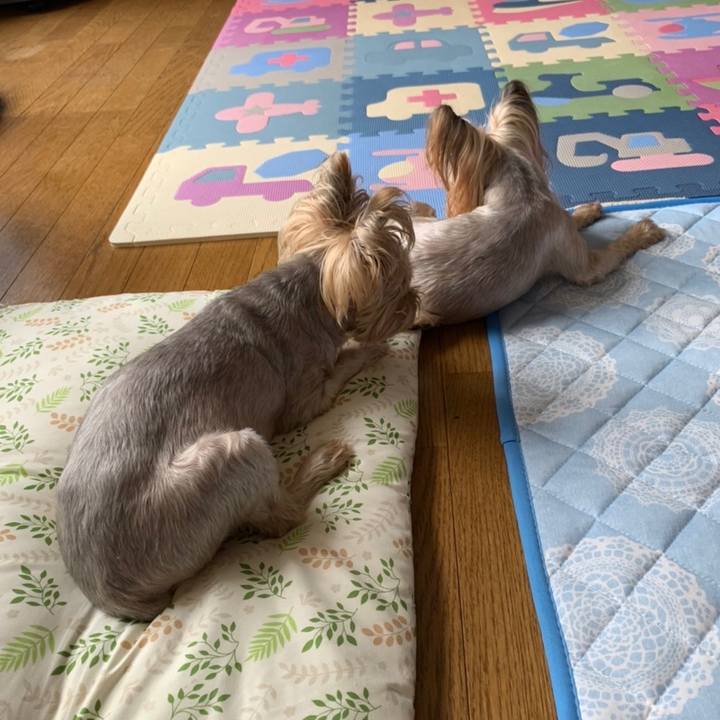 2bf9928c c130 444b ab92 0b4aa877e246 1656924662269