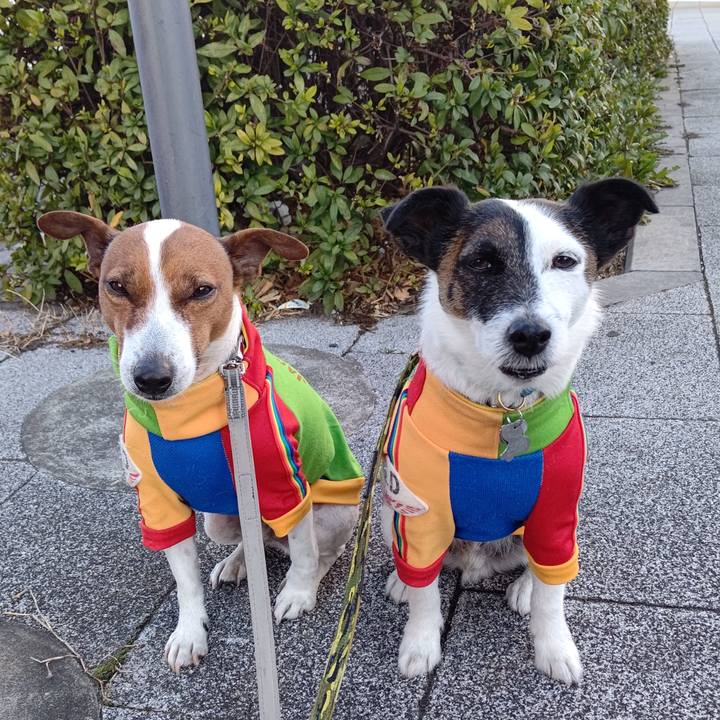 2bf9bdc5 6fe9 4c54 b49a ee432df6eb6c 1676848779239