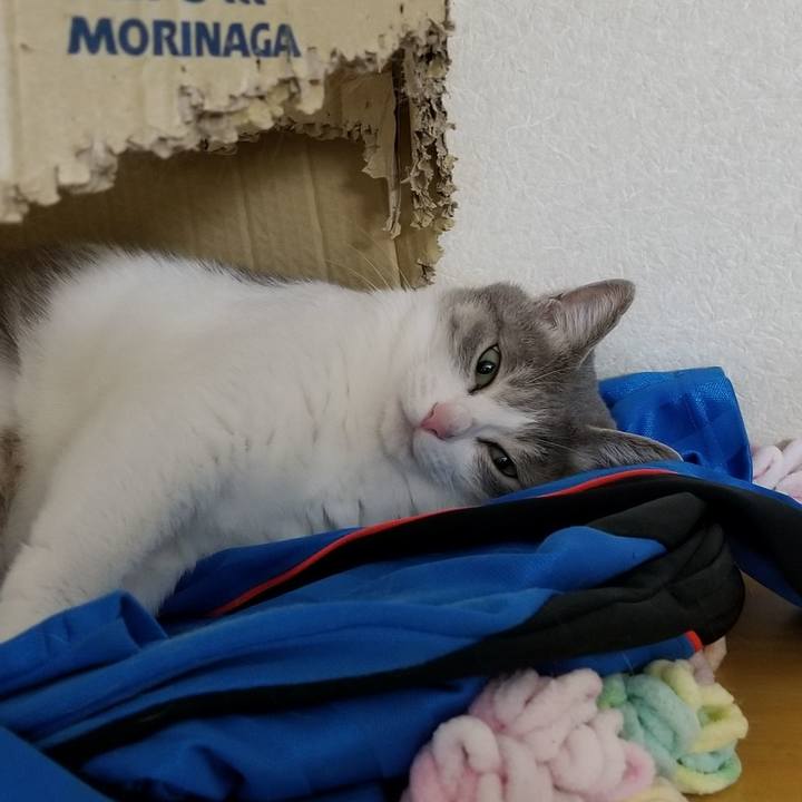 2bf9d2ce 1de8 492b a30f 8bf32eaf41d9 1545744278810