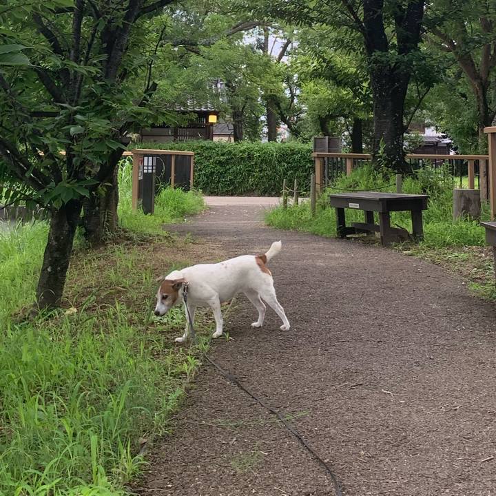 2bf9dd03 9721 47ba a2aa a26b6295b1bb 1595497794977