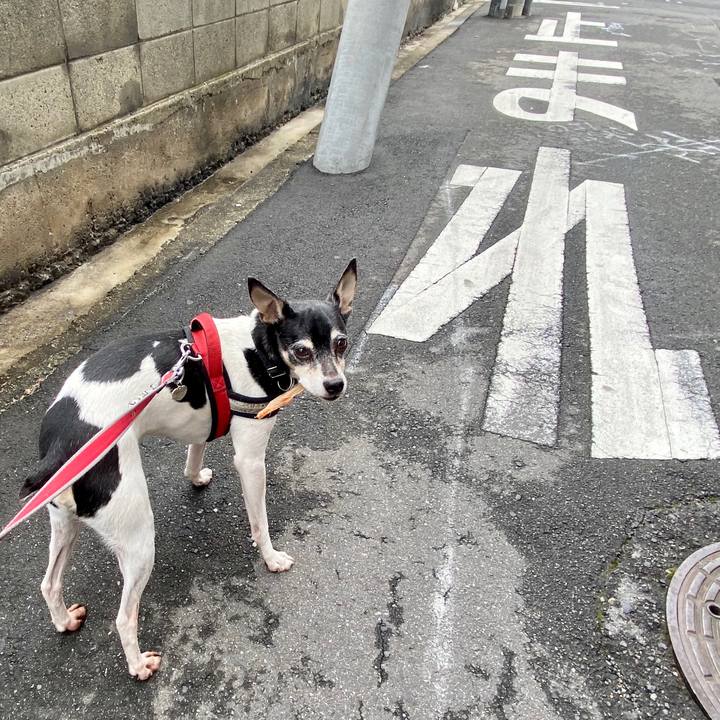 2bf9e49b 3ea1 4f6c 847a 511d6e611c07 1588549701132