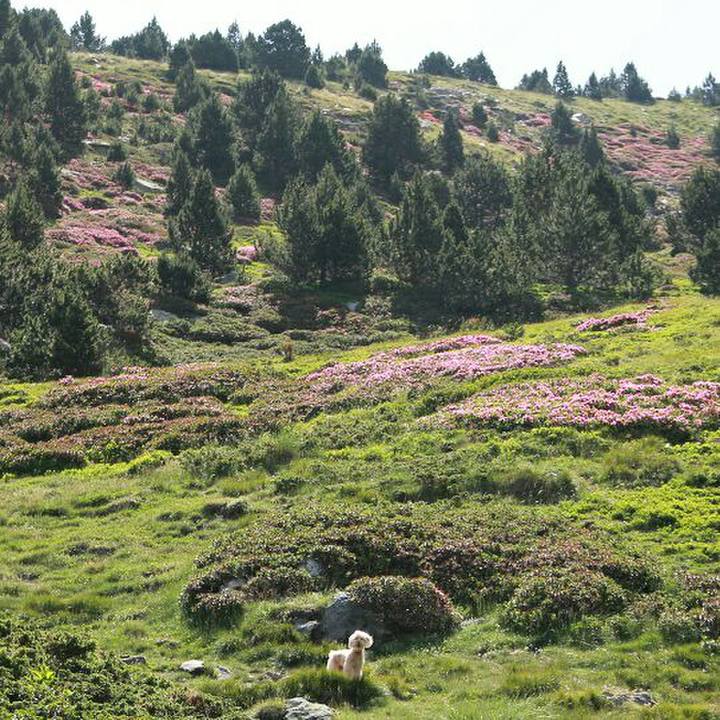 2bfa2578 e696 4f5a 944d c9c8e0716ba4 1563307782103