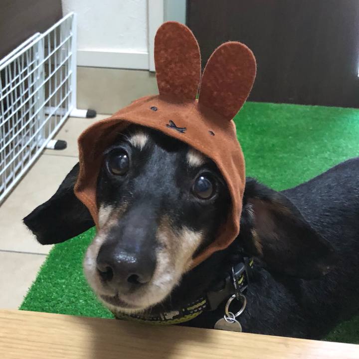 2bfa5dc7 1a98 4094 9579 6ba8edc14a3a 1546865837590