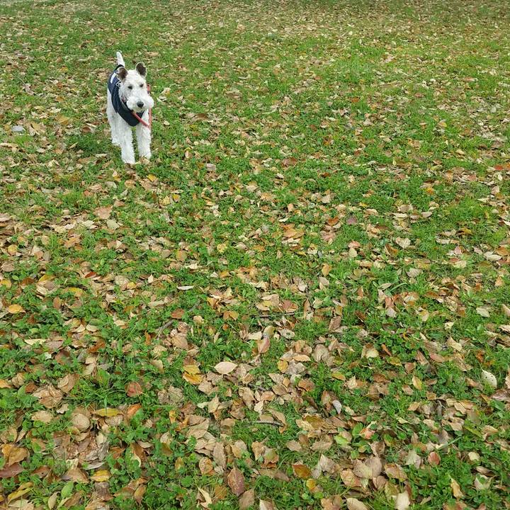 2bfa65f6 12ae 47cb a7f5 adf9e2bf9cbf 1587903809272