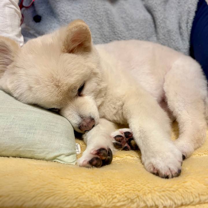 2bfa7957 5a27 4bbf 8a0d 938fbde1781a 1767015157422