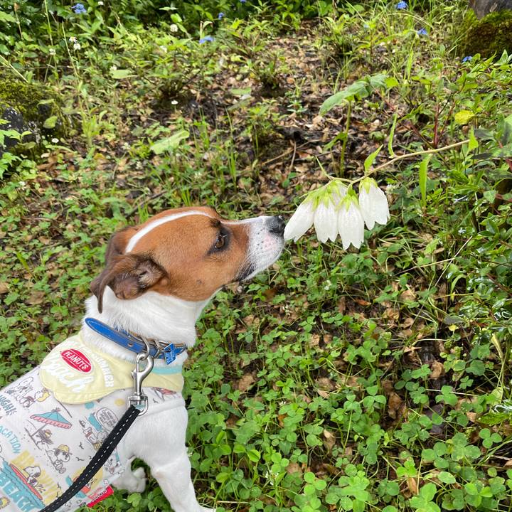 2bfa95d2 395a 4858 b643 f5ea5e7da0ab 1625462986654