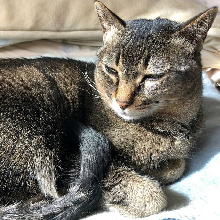 2bfab24c 89c2 43f8 8859 dd910b3f97e2 1587620191251