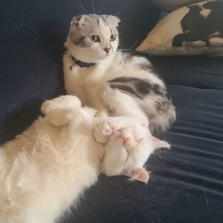 2bfab5cf 029e 424f aaa2 f1b29cc2f7a5 1657603088931