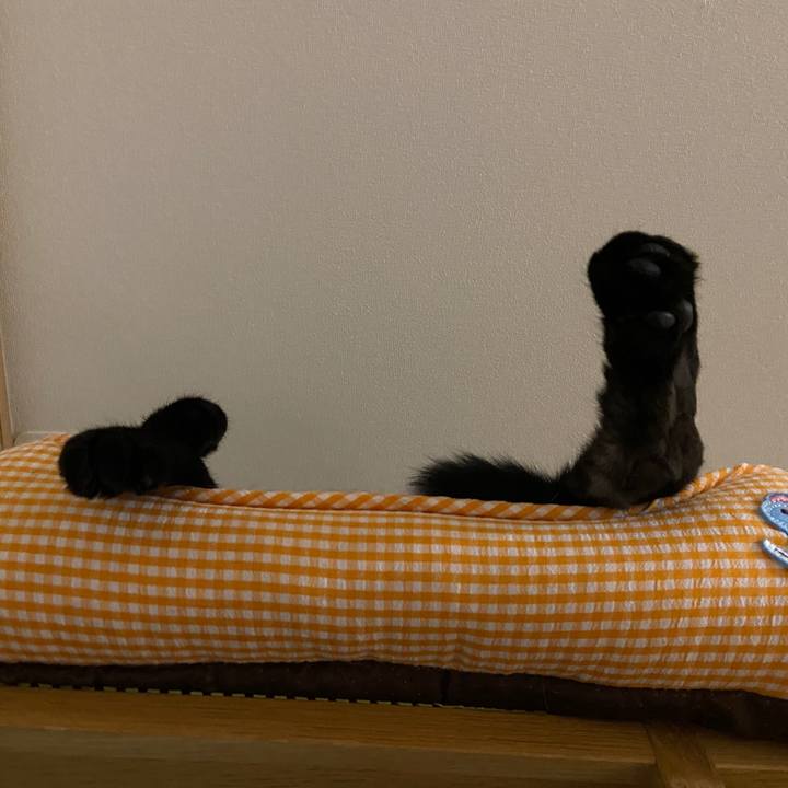 2bfae24f 5fb2 4fb8 8958 8f6ae0a8c079 1631493869846