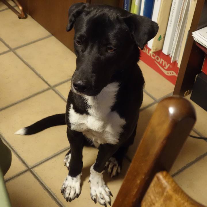 2bfaf1d5 f755 42e4 bf6c faf746226f6f 1584017169604