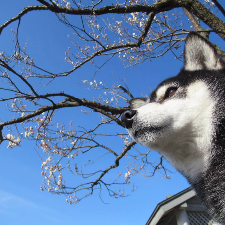 2bfb1626 079b 4397 ad7d 84595d333e64 1614828485559