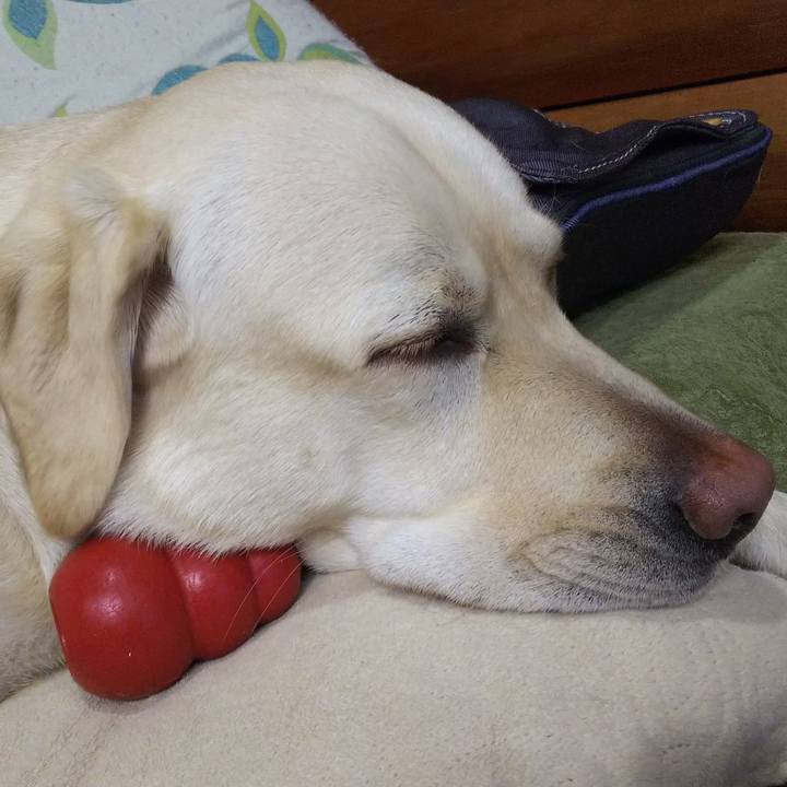 2bfb1cde 8dd5 4500 9c88 b1a697ef63e7 1517388918356