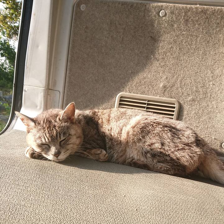 2bfb1fd1 1a2e 4114 94c2 229451b55d32 1591220549922