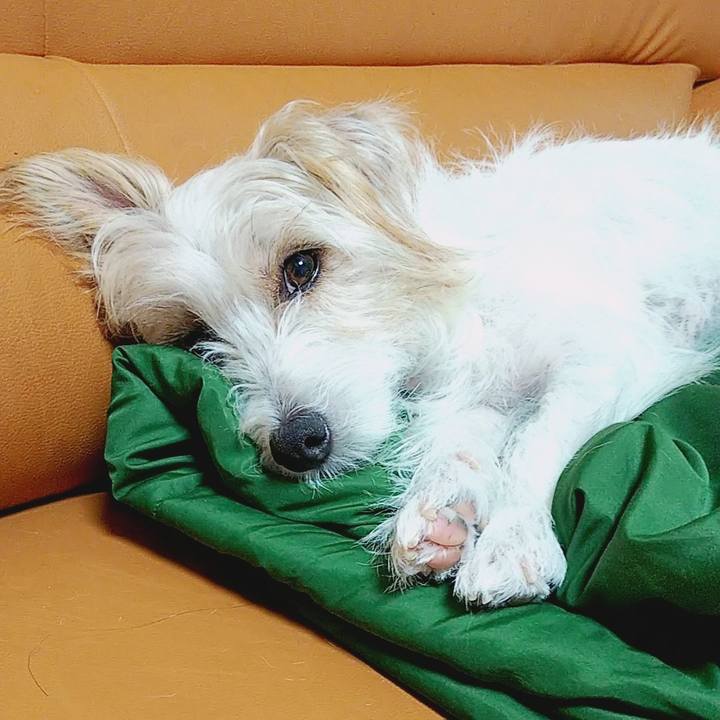 2bfb47a1 1714 4e49 89bb ead1877f2dec 1571493968195