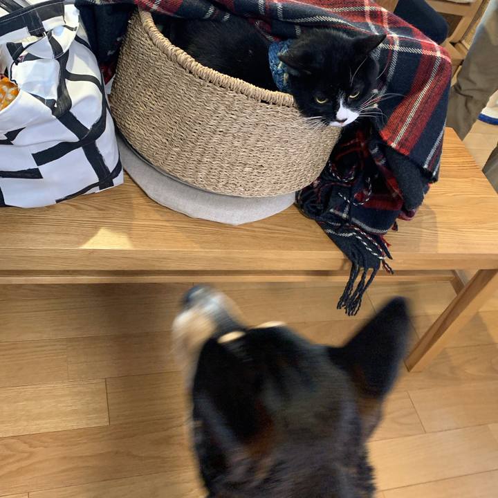 2bfb5544 a3ea 4150 9856 ea96973a1775 1580640843260