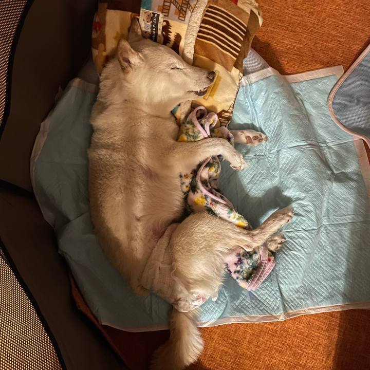 2bfb5bdb ea54 4f11 8410 13efaa61152a 1665396575961