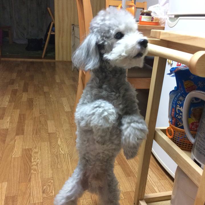 2bfb63e0 c300 4f7e bf68 72986bc14c78 1747625698595