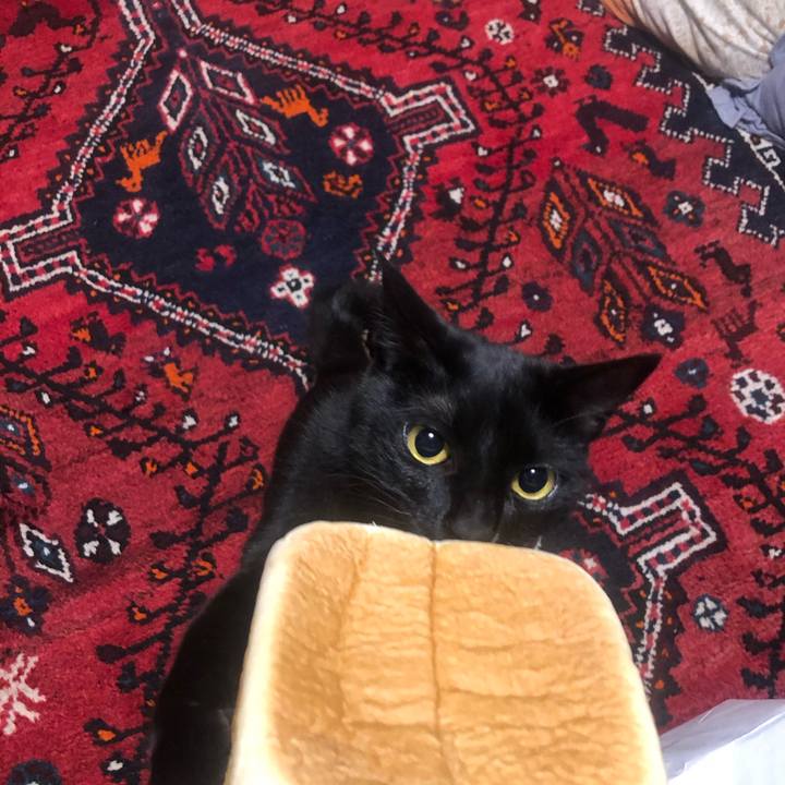 2bfb6688 6452 46a7 b8a2 34acb5393eb6 1622706671408