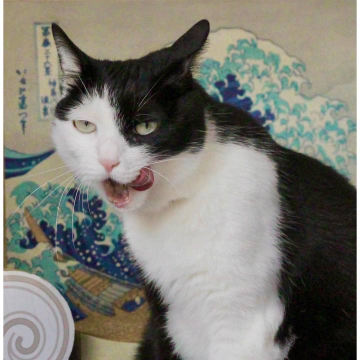 2bfb8ded 2c65 4523 8e5d 433eaa4c427f 1625701729439