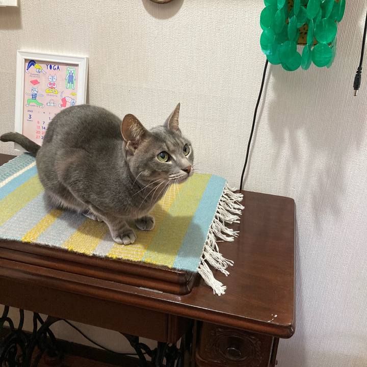 2bfb924e 5126 4539 8d64 ed68441fbee3 1646528954900