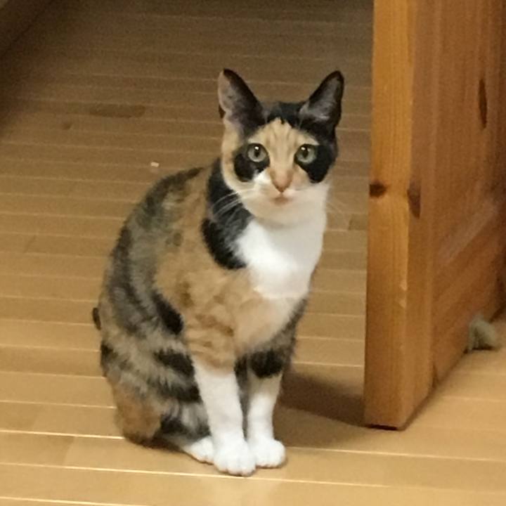 2bfbac48 65c8 4d6e 9dd3 8fb263e5ee8c 1522409856268