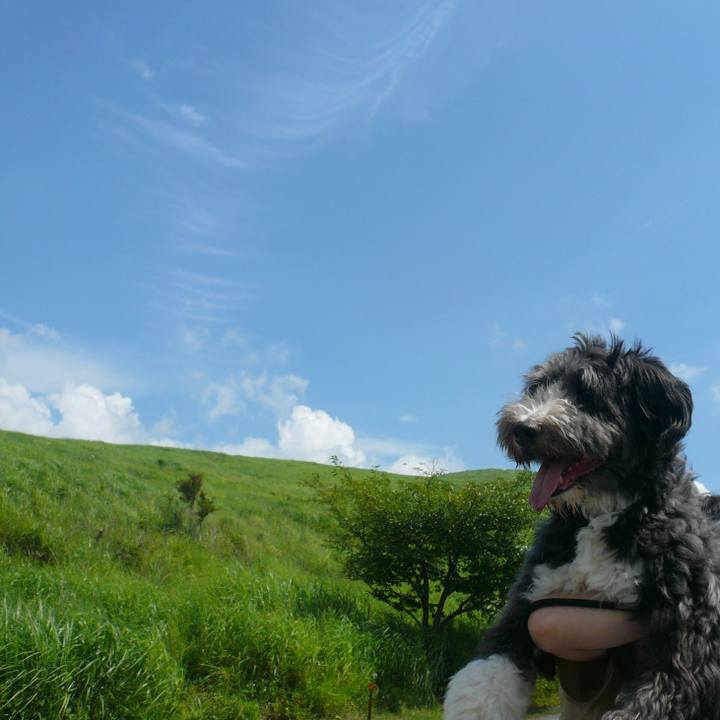 2bfbd6cd 93e6 4324 a12c 7ea257769685 1628638683290