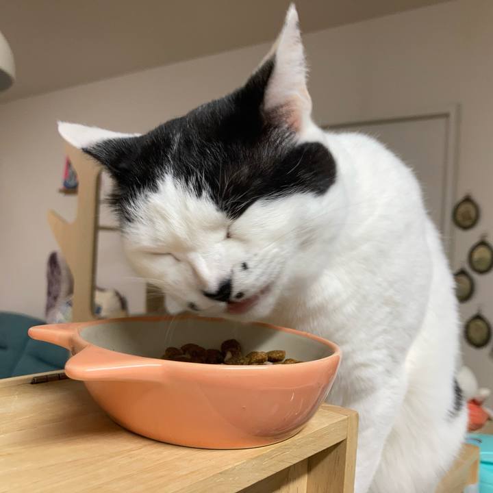 2bfbe45c 177d 4c54 a14b 3b4d0457af7c 1773520484206