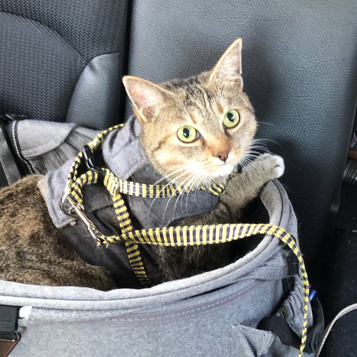 2bfc0fdc bdaf 4628 b7ea b4a78a0e0564 1729988651049