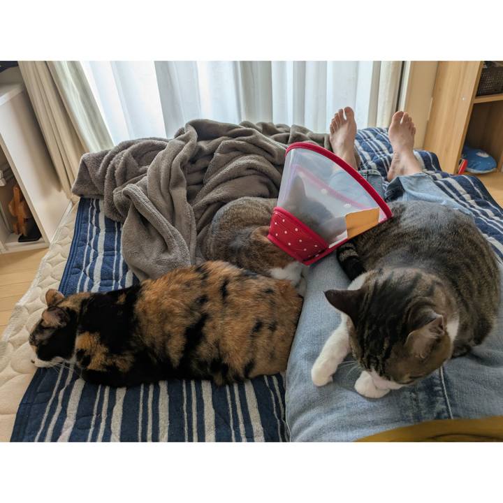 2bfc245c 22e4 4102 9b20 3c0cc9afc48d 1751189496886