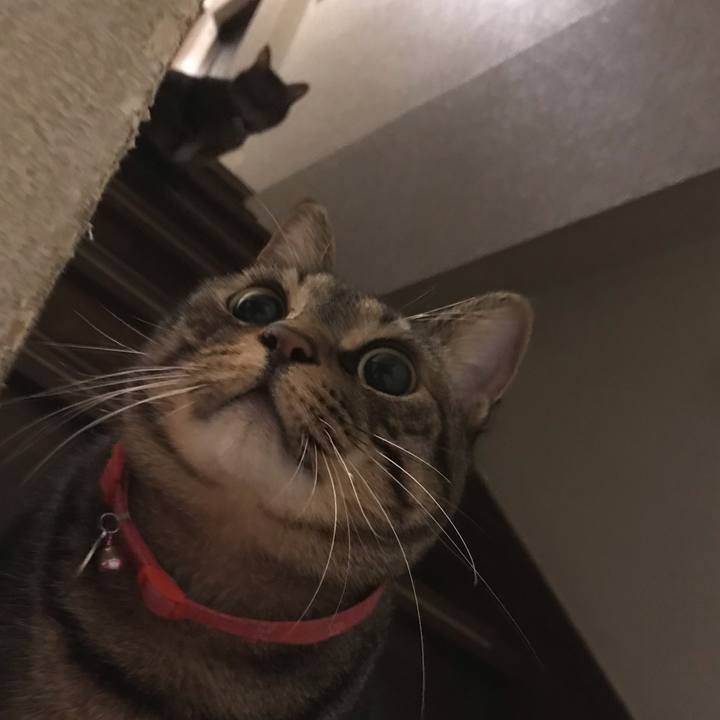 2bfc2eab 36f2 44d0 9887 21927383d2a1 1545232700124