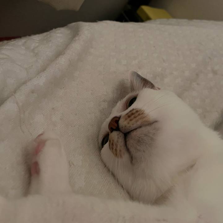 2bfc3137 5d70 4ee3 a0d8 cd6f21fb9ce1 1662110470837