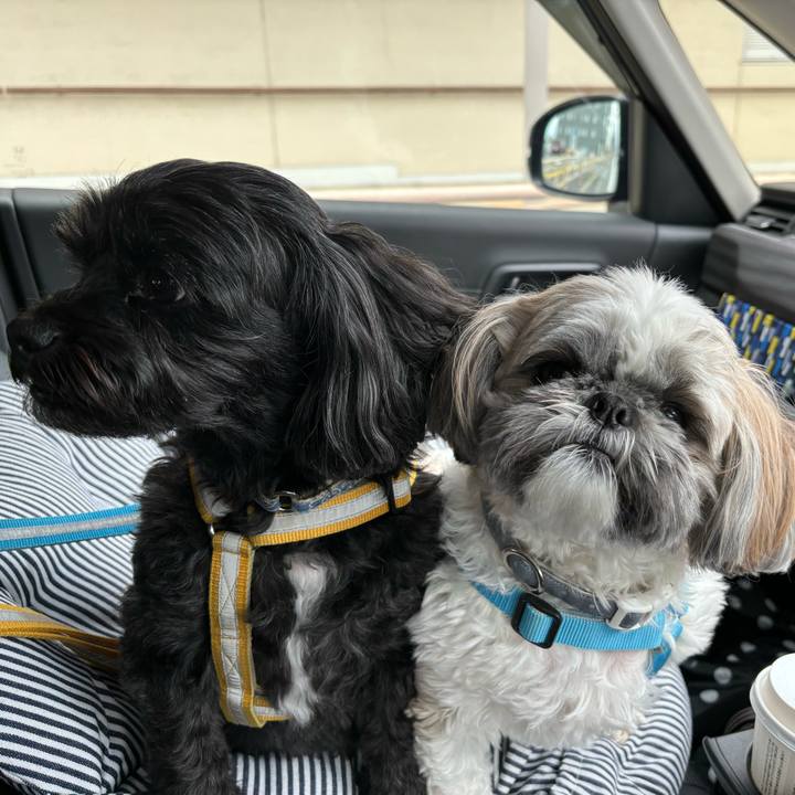 2bfc3af1 95b8 4b3e ac99 69b12748827e 1729733125075