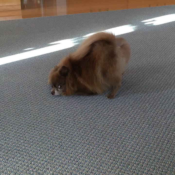 2bfc5a60 8555 4d0e a0e1 c2069fd8f1c5 1509168412683