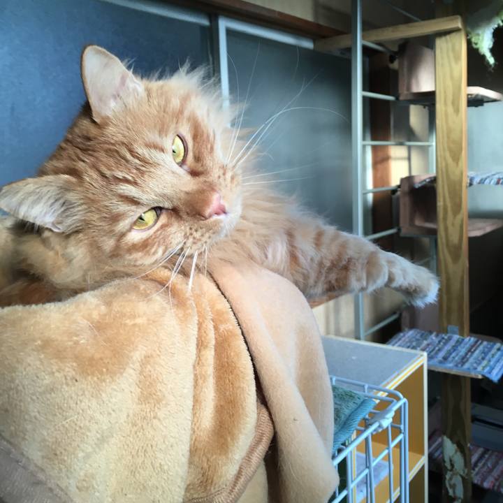 2bfcb01f 292a 46f6 8a2d 35c1ee909436 1518866340857