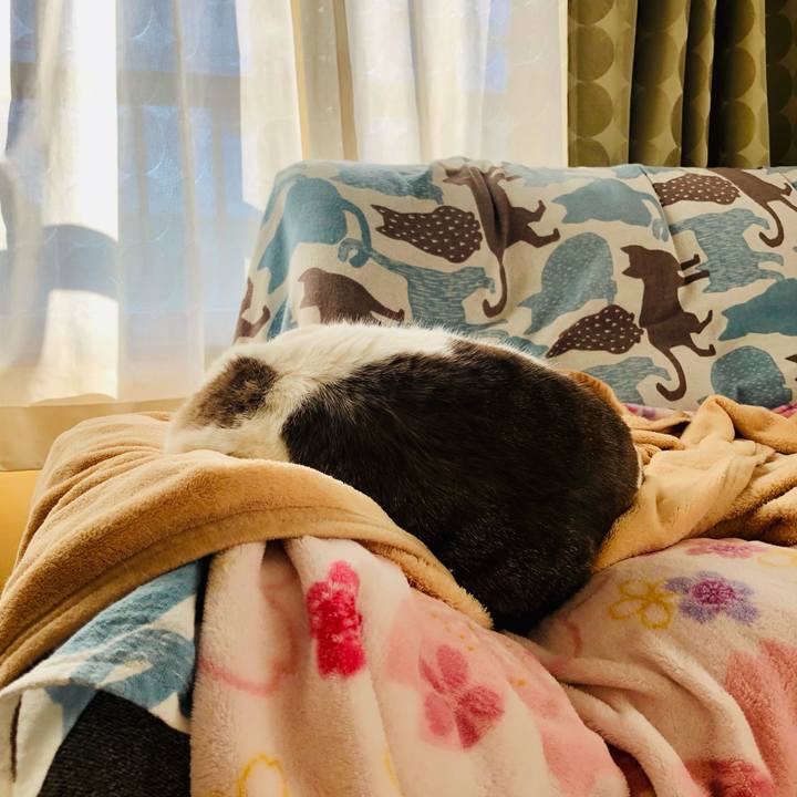 2bfd1adc 4baf 457d 8181 fa673ca3b322 1671439619872