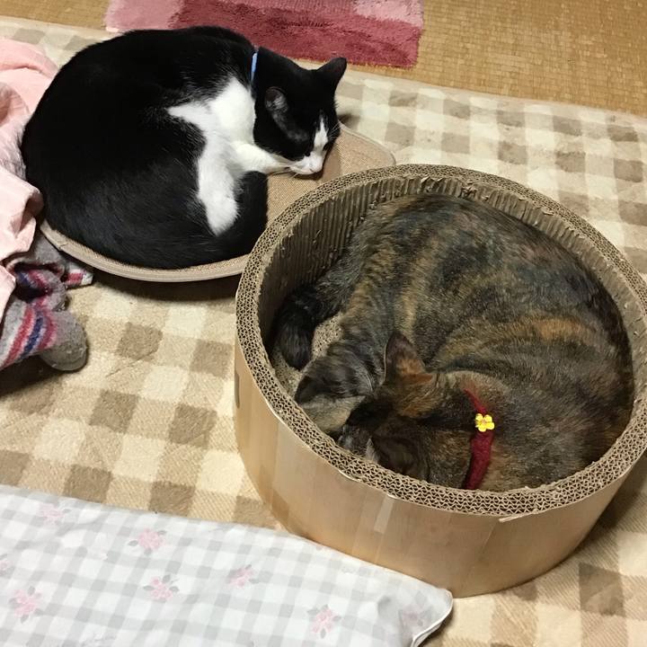 2bfd2005 472b 4117 a48d 8b43b5ce74ce 1729662419717