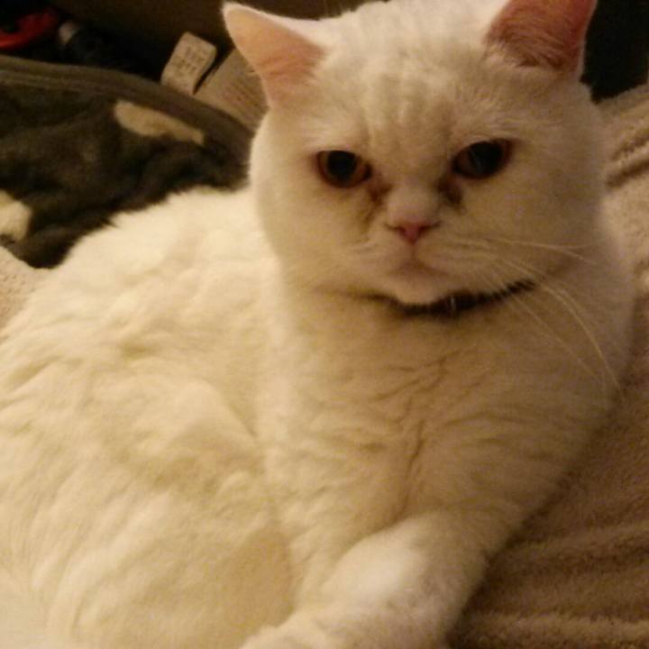 2bfd51f7 1d14 4647 95b5 a2a7b7687b61 1522595141409