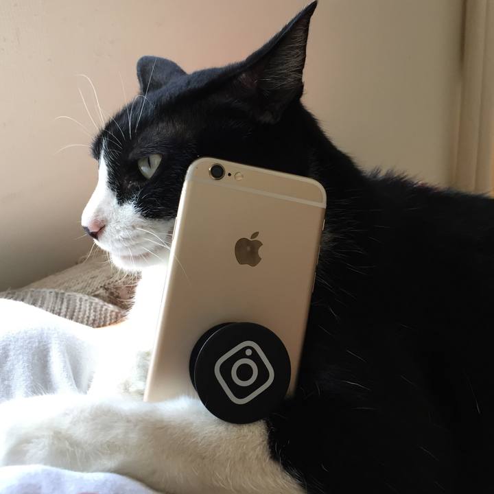 2bfd6731 5a34 4e59 b3de dc6ee63bf914 1536500174788