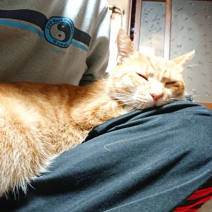 2bfd7c3f 76f2 4164 ad1e e2466ce1d98c 1602449294182