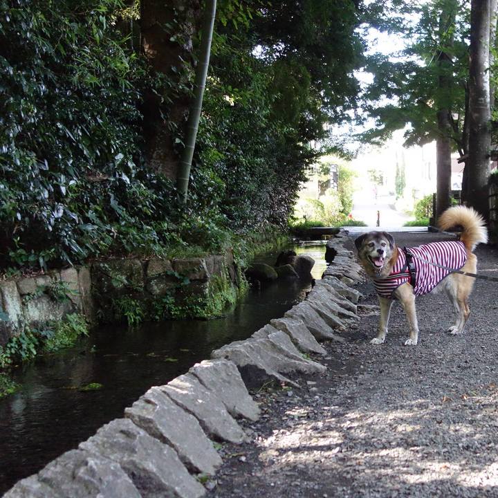 2bfda186 e9d2 4262 94de f3430057aa44 1644109384744