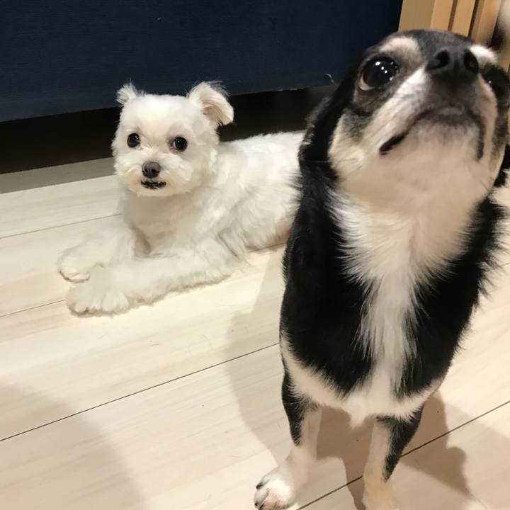 2bfdcfb4 7ba5 4aa7 9e5e 03c2d6962fb2 1536022706251