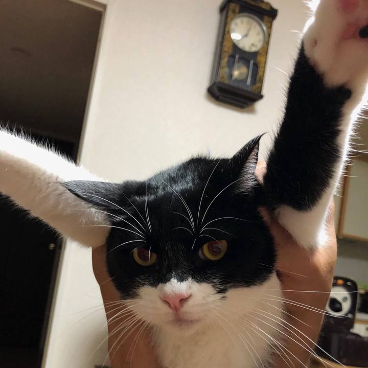 2bfde7a6 1c1d 4092 9e72 f1e9f2125f14 1545553082691