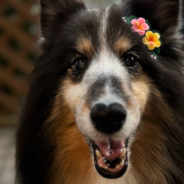 2bfe3c82 d085 4fed 8d3e a0c927ae577c 1756922828262