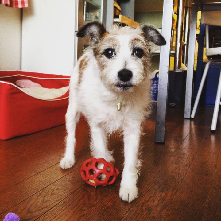 2bfe8d56 8a3d 426b a52c 18d7e6a60111 1620252460440