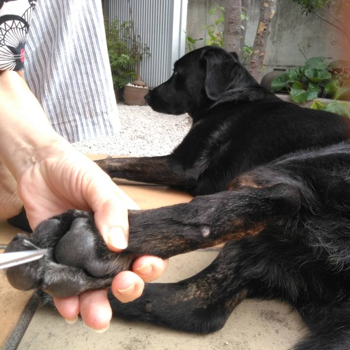 2bfeb0a7 4e7a 44db 992d df302da2ed25 1569713214745