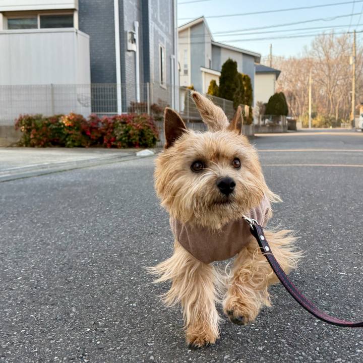 2bfeb72f e29e 4160 b168 84c4f77cc342 1771735608118